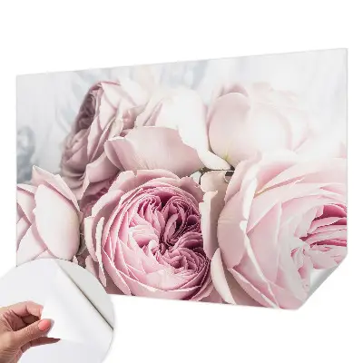 Papier peint photographique intissé roses roses