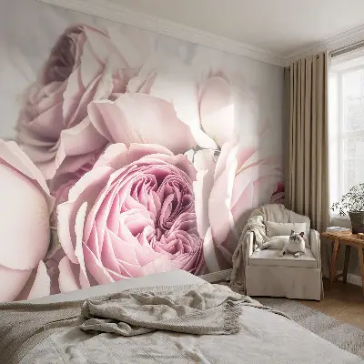 Papier peint photographique intissé roses roses