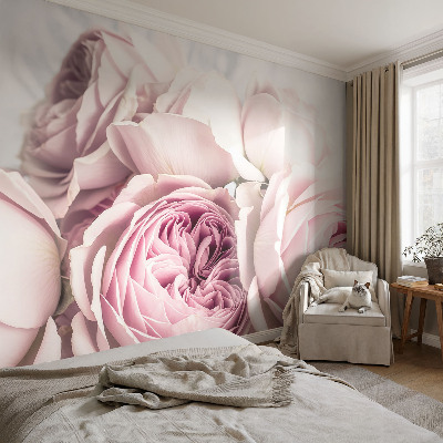 Papier peint chambre adulte cocooning Ružové ruže