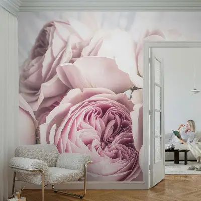 Papier peint photographique intissé roses roses