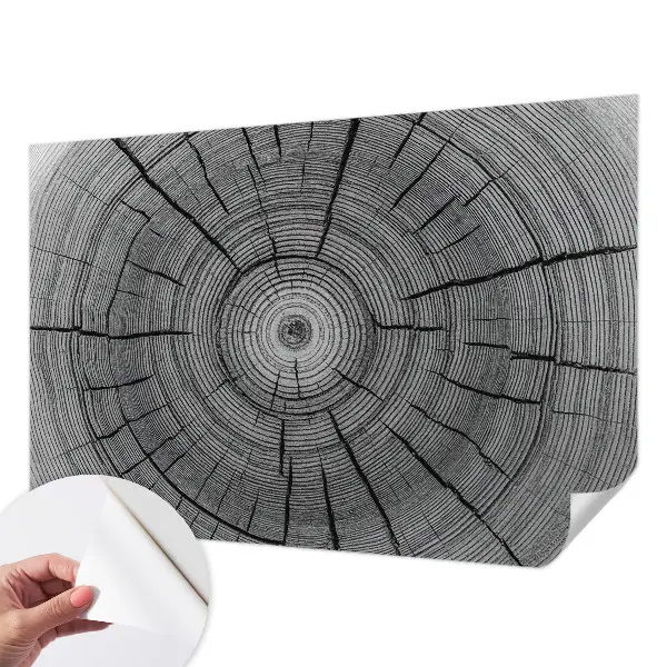 Papier peint intissé imprimé Harmonie forestière