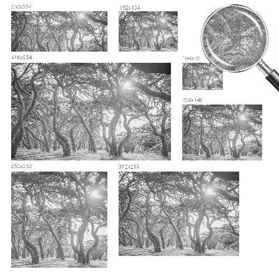 Papier peint photographique sur tissu non tissé Forêt atmosphérique