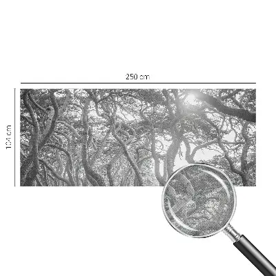 Papier peint photographique sur tissu non tissé Forêt atmosphérique