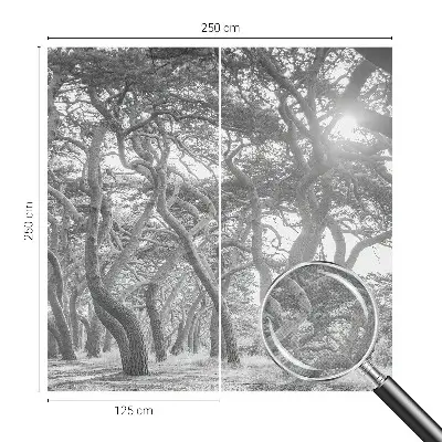 Papier peint photographique sur tissu non tissé Forêt atmosphérique