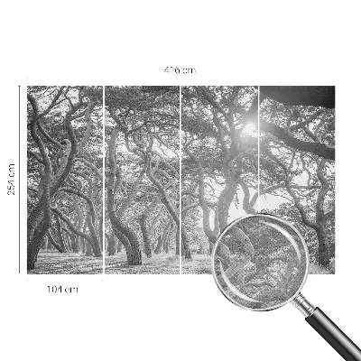 Papier peint photographique sur tissu non tissé Forêt atmosphérique