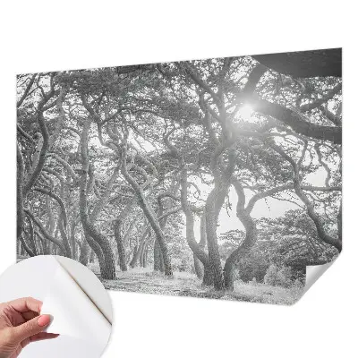 Papier peint photographique sur tissu non tissé Forêt atmosphérique