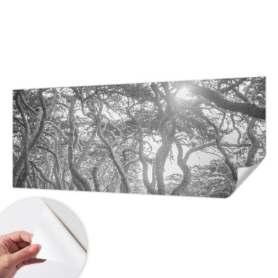 Papier peint chambre ado Atmosférický les