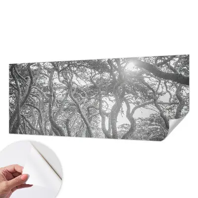 Papier peint photographique sur tissu non tissé Forêt atmosphérique