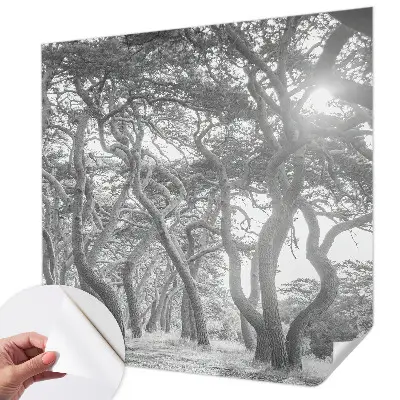 Papier peint photographique sur tissu non tissé Forêt atmosphérique