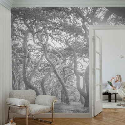 Papier peint chambre ado Atmosférický les