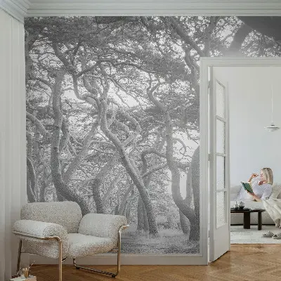 Papier peint photographique sur tissu non tissé Forêt atmosphérique