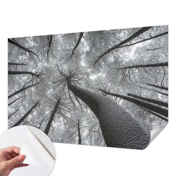 Papier peint photo sur tissu non tissé paysage d'hiver