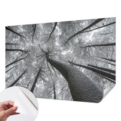 Papier peint photo sur tissu non tissé paysage d'hiver