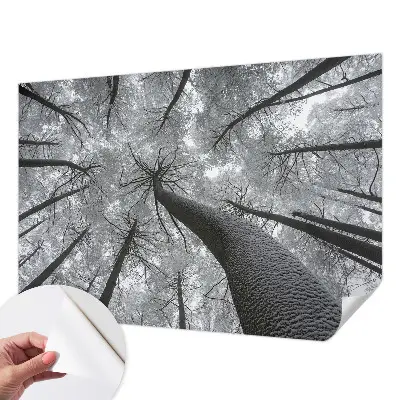 Papier peint photo sur tissu non tissé paysage d'hiver