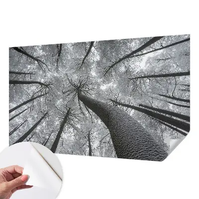 Papier peint photo sur tissu non tissé paysage d'hiver