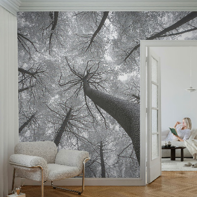 Papier peint tendance salon Zimná krajina
