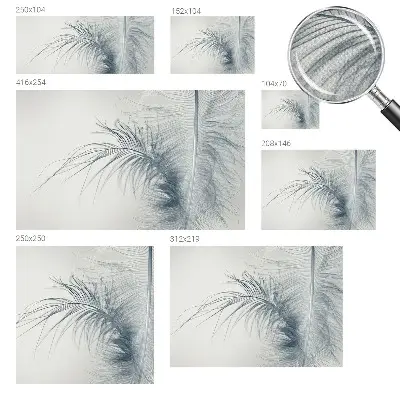 Papier peint photographique intissé Plume délicate