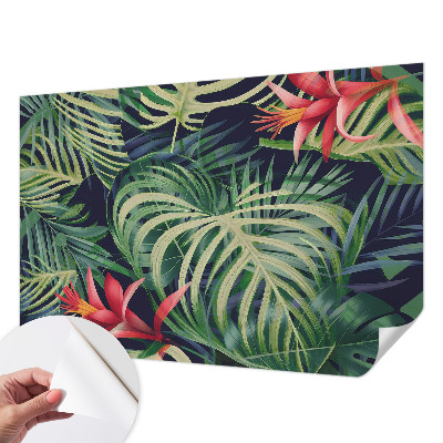Papier peint tendance Exotické rastliny