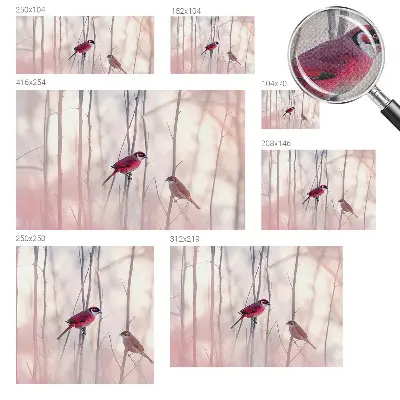 Papier peint photo imprimé sur tissu non tissé couple d'oiseaux
