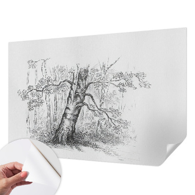Papier peint adhésif Lesný strom