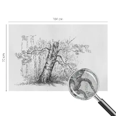 Papier peint intissé Arbre forestier