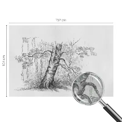 Papier peint intissé Arbre forestier