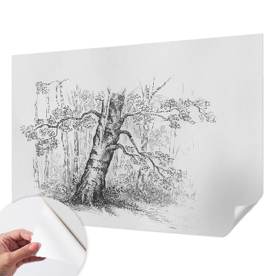 Papier peint adhésif Lesný strom