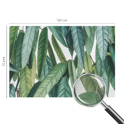 Papier peint photo grand format pour le mur Feuilles naturelles