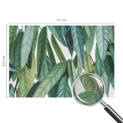 Papier peint photo grand format pour le mur Feuilles naturelles