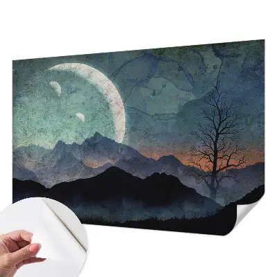Papier peint photographique sur tissu non tissé paysage nocturne