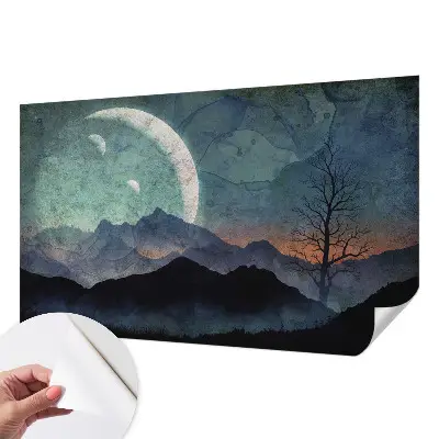 Papier peint photographique sur tissu non tissé paysage nocturne