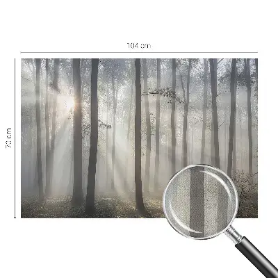 Papier peint photo grand format pour le mur Forêt éthérée
