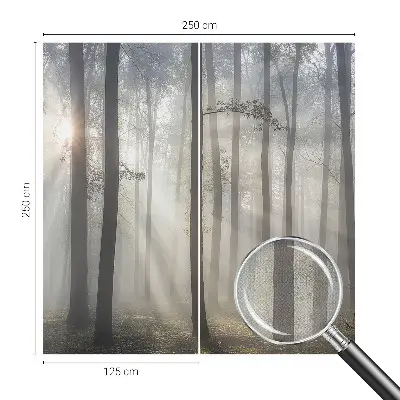 Papier peint photo grand format pour le mur Forêt éthérée