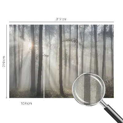 Papier peint photo grand format pour le mur Forêt éthérée
