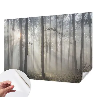 Papier peint photo grand format pour le mur Forêt éthérée
