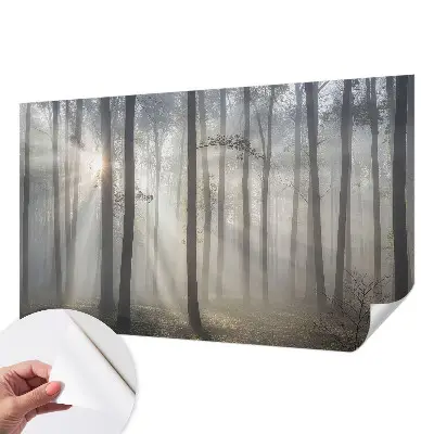 Papier peint photo grand format pour le mur Forêt éthérée