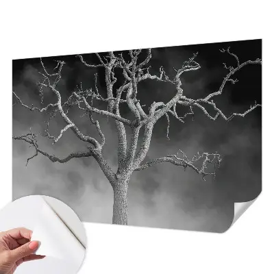 Papier peint photo grand format pour le mur Arbre brumeux