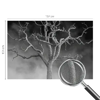 Papier peint photo grand format pour le mur Arbre brumeux