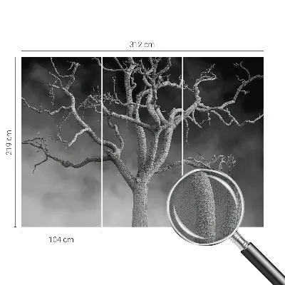 Papier peint photo grand format pour le mur Arbre brumeux