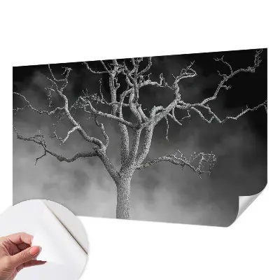 Papier peint photo grand format pour le mur Arbre brumeux