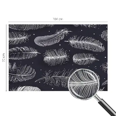 Papier peint photo grand format pour le mur Plumes subtiles