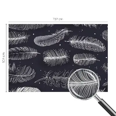 Papier peint photo grand format pour le mur Plumes subtiles