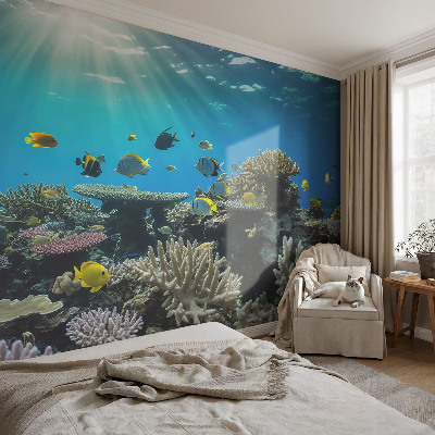 Papier peint chambre adulte cocooning Podvodný svet