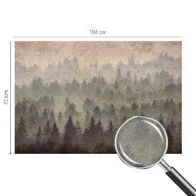 Papier peint photo sur tissu non tissé brouillard forestier