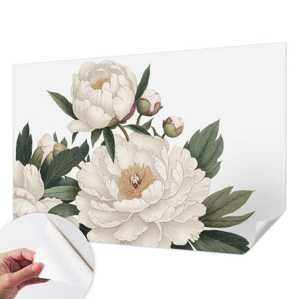 Papier peint chambre garçon Biele pivonky