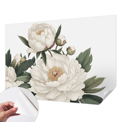 Papier peint chambre garçon Biele pivonky