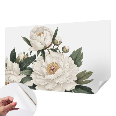 Papier peint chambre garçon Biele pivonky