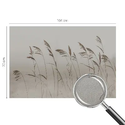 Papier peint photographique sur tissu non tissé Des herbes dans le brouillard