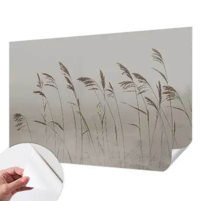 Papier peint photographique sur tissu non tissé Des herbes dans le brouillard