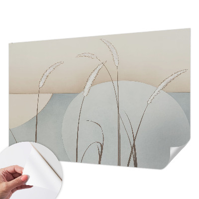 Papier peint photo autocollant Jemné trávy